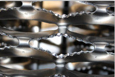China Puntal plateado de metal del apretón del resbalón anti del mandíbula del cocodrilo del acero inoxidable 304 para las pisadas de escalera proveedor