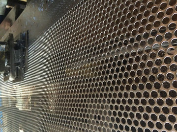 China Los paneles decorativos inoxidables del acero/de aluminio de la chapa rasguñan resistente proveedor