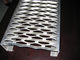 Placa de metal anti ligera de la resbalón/pisadas de escalera antis del metal del resbalón proveedor
